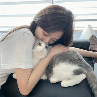 夺命公寓 在线观看